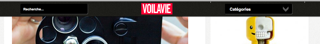 Voilavie-scrolled.png
