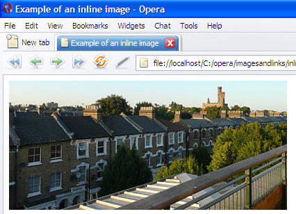 the image displayed in a browser