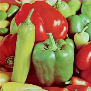 f13-peppers.jpg